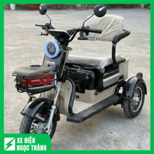 Xe Điện Ba Bánh Nhập Khẩu Cũ Nguyên Zin, Vận Hành Bền Bỉ