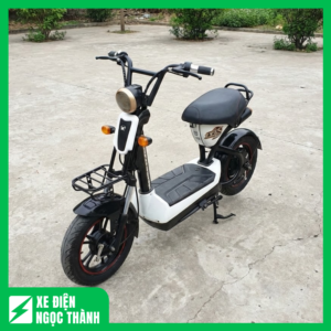 Xe Máy Điện 133S Nhập Khẩu Cũ Nguyên Zin, Vận Hành Bền Bỉ