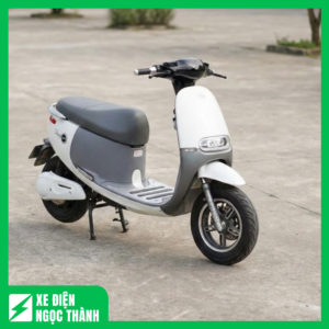 Xe Máy Điện Vespa Gogo Dibao New 2019 Cũ Cá Tính