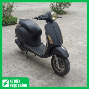 Xe Máy Điện Vespa Màu Đen Cũ Cổ Điển, Hoạt Động Ổn Định
