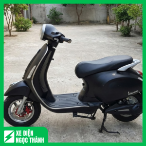 Xe Máy Điện Vespa Màu Đen Cũ Thanh Lịch, Đẹp Như Mới