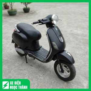 Xe Máy Điện Vespa Đen Nhám Cũ Sang Trọng, Cá Tính